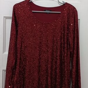 Studio Y Shimmering Red Sequin Top